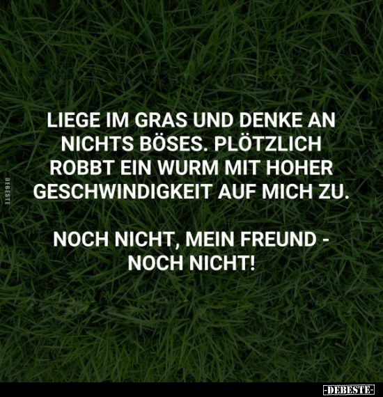 Liege im Gras und denke an nichts Böses.. - Lustige Bilder | DEBESTE.de
