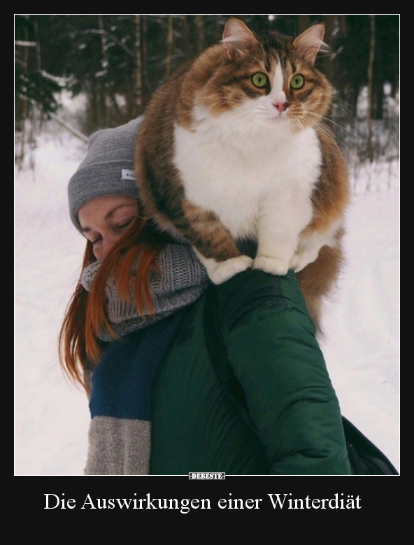 Die Auswirkungen einer Winterdiät..