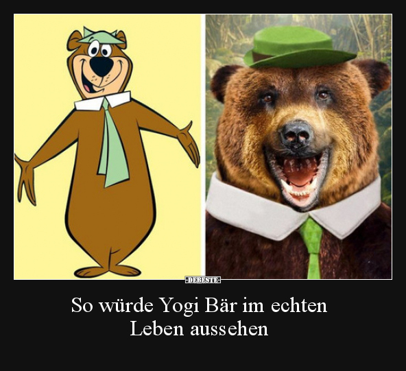 So würde Yogi Bär im echten Leben aussehen.. - Lustige Bilder | DEBESTE.de