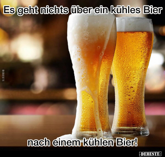 Es geht nichts über ein kühles Bier nach einem kühlen Bier!.. - Lustige Bilder | DEBESTE.de
