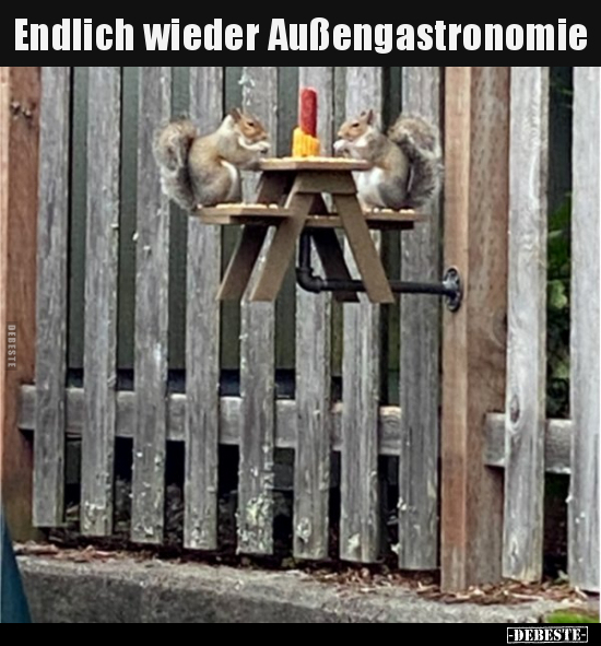 Endlich wieder Außengastronomie.. - Lustige Bilder | DEBESTE.de