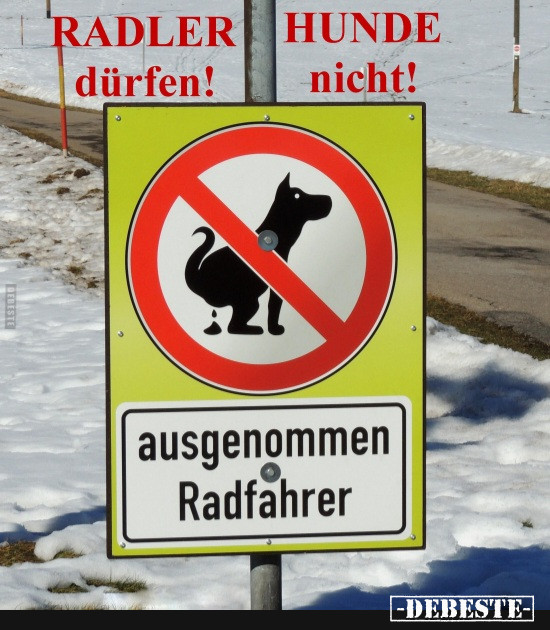  - Lustige Bilder | DEBESTE.de