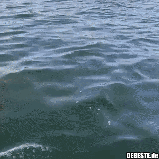 Ach, so funktioniert das...