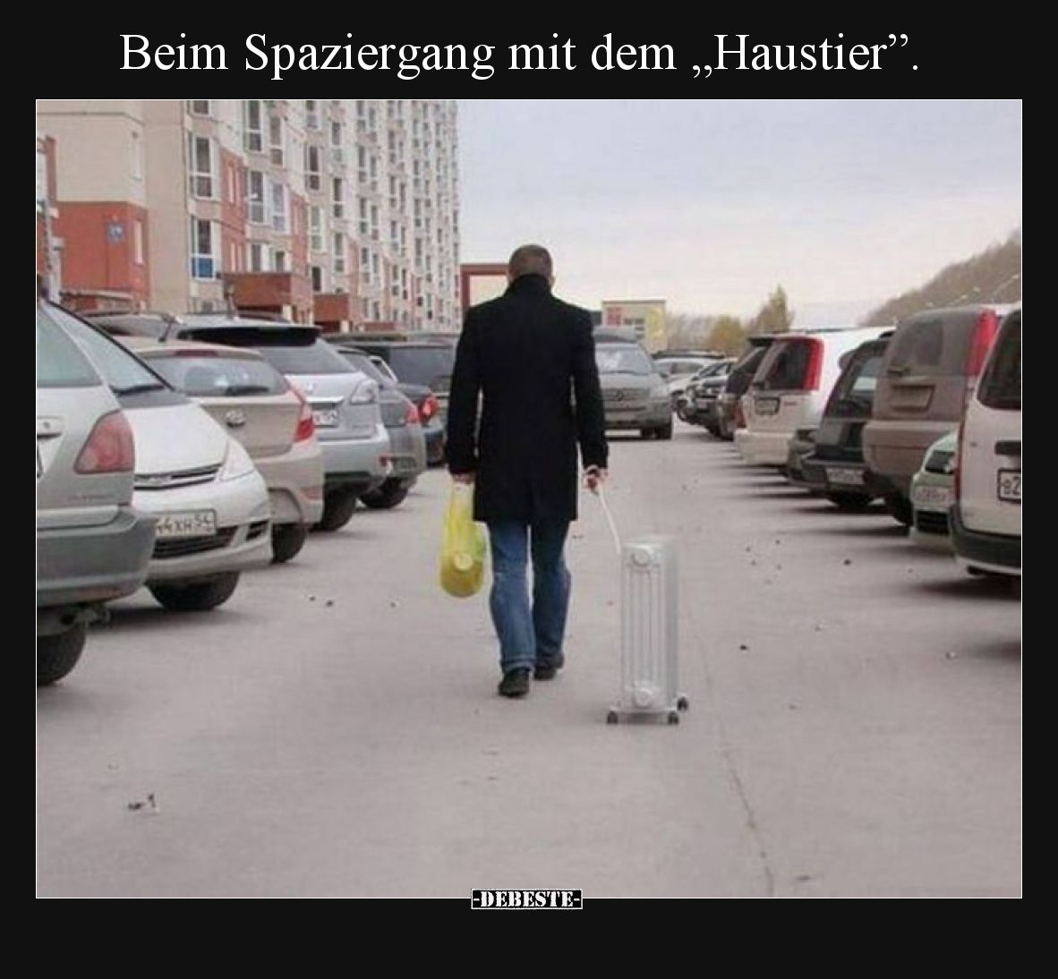 Beim Spaziergang mit dem „Haustier”