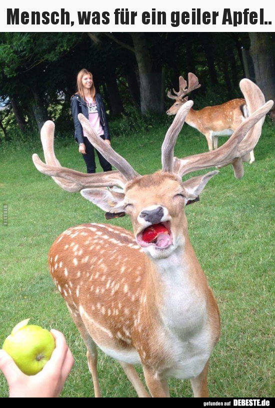 Mensch, was für ein geiler Apfel.. - Lustige Bilder | DEBESTE.de