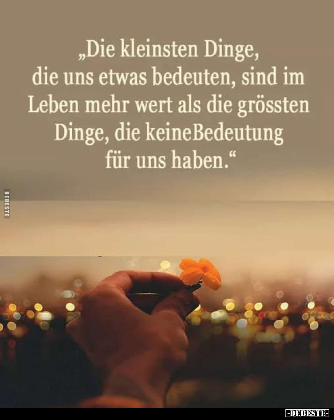Die kleinsten Dinge, die uns etwas bedeuten, sind im Leben mehr wert als die grössten Dinge, die keine Bedeutung für uns habe...
