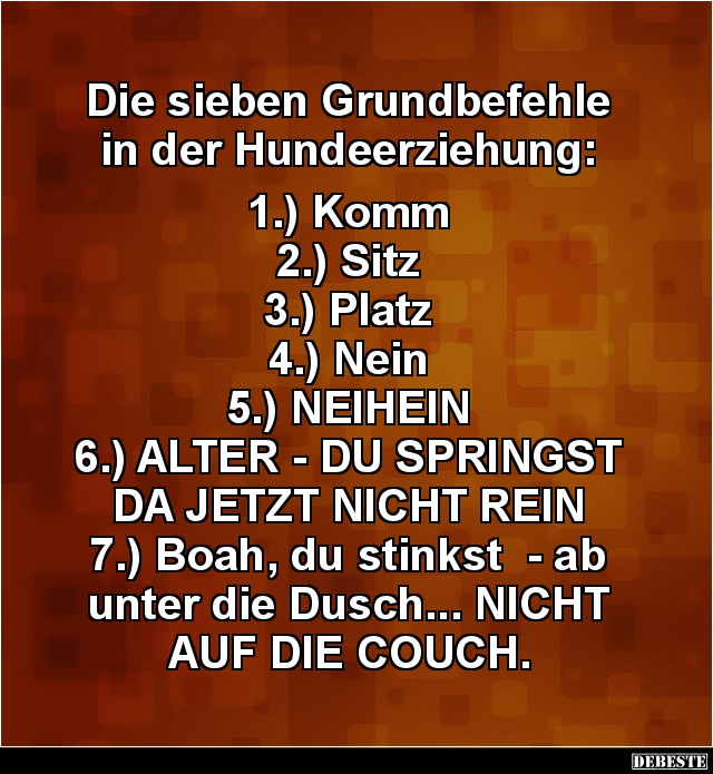 couch lustig, alter