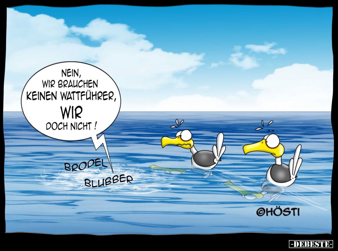 Nein, wir brauchen keinen Wattführer, wir doch nicht!