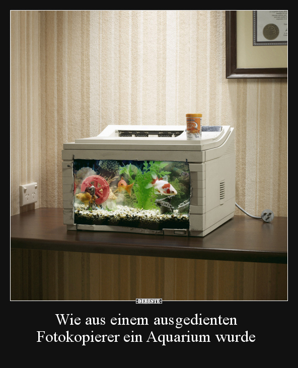 Wie aus einem ausgedienten Fotokopierer ein Aquarium.. - Lustige Bilder | DEBESTE.de