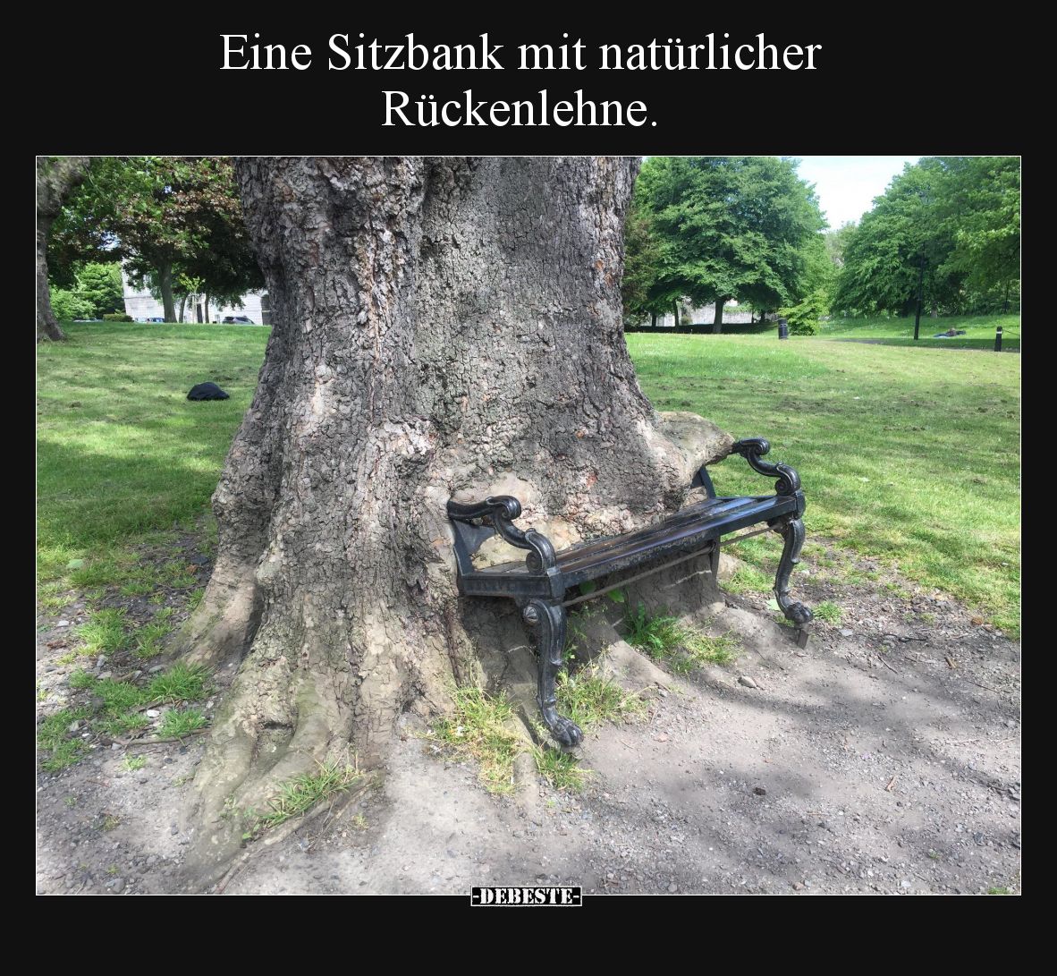 Eine Sitzbank mit natürlicher Rückenlehne... - Lustige Bilder | DEBESTE.de