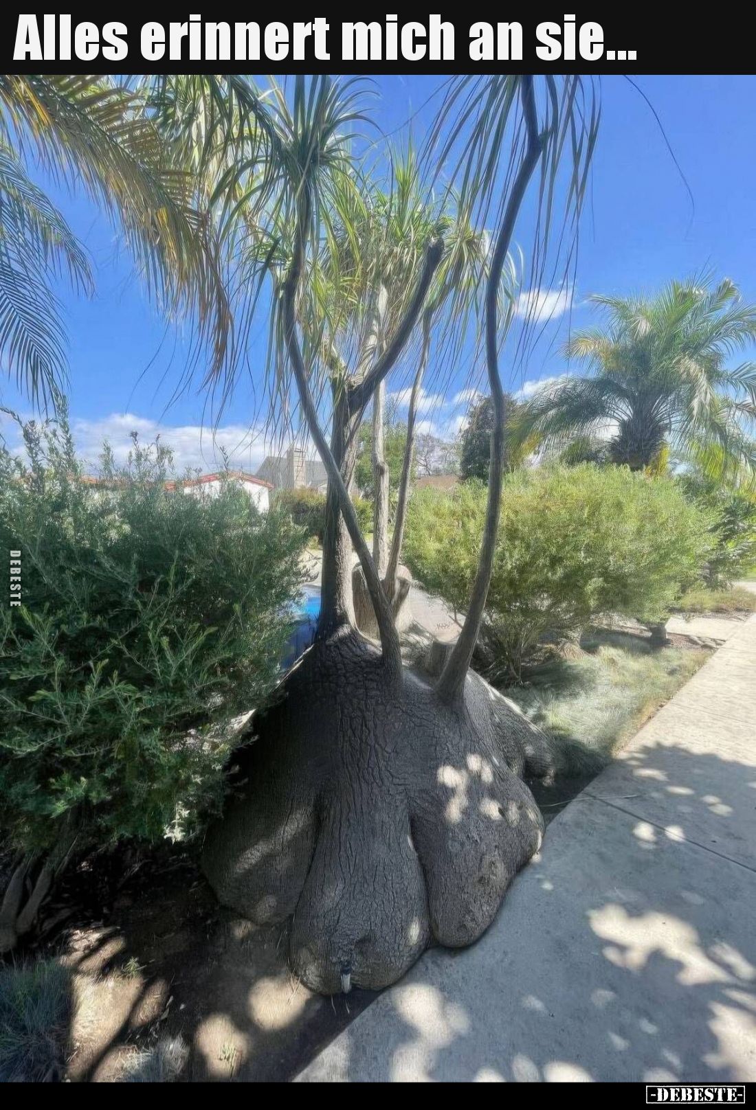 Alles erinnert mich an sie...