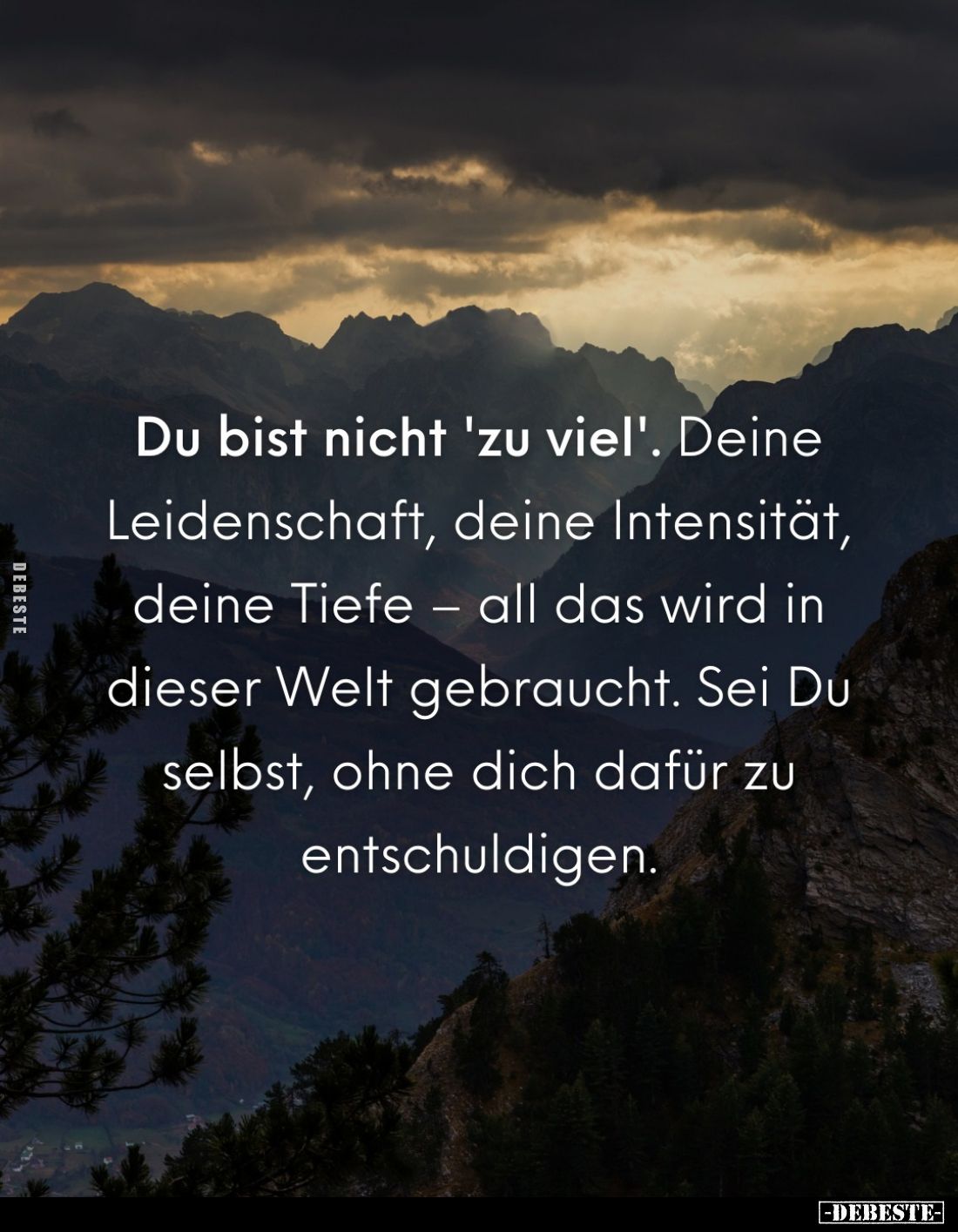 Du bist nicht 'zu viel'. Deine Leidenschaft, deine Intensität, deine Tiefe - all das wird in dieser Welt gebraucht. Sei Du se...