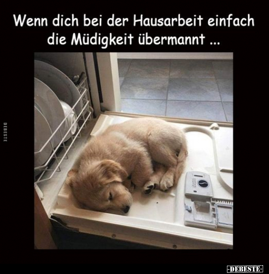 Wenn dich bei der Hausarbeit einfach die Müdigkeit.. - Lustige Bilder | DEBESTE.de
