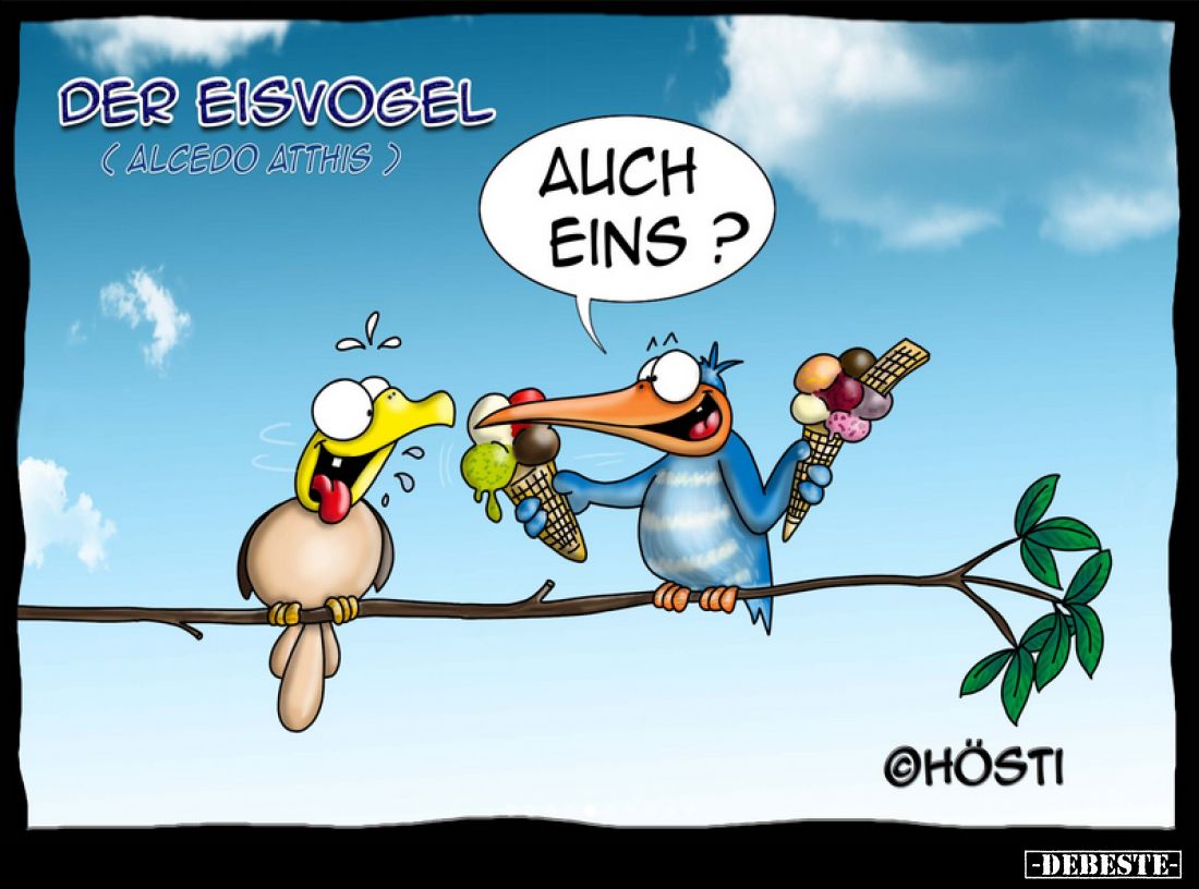 Der Eisvogel
(Alcedo atthis)
Auch eins?