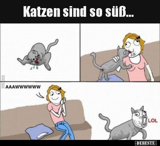 Katzen sind so süß... - Lustige Bilder | DEBESTE.de