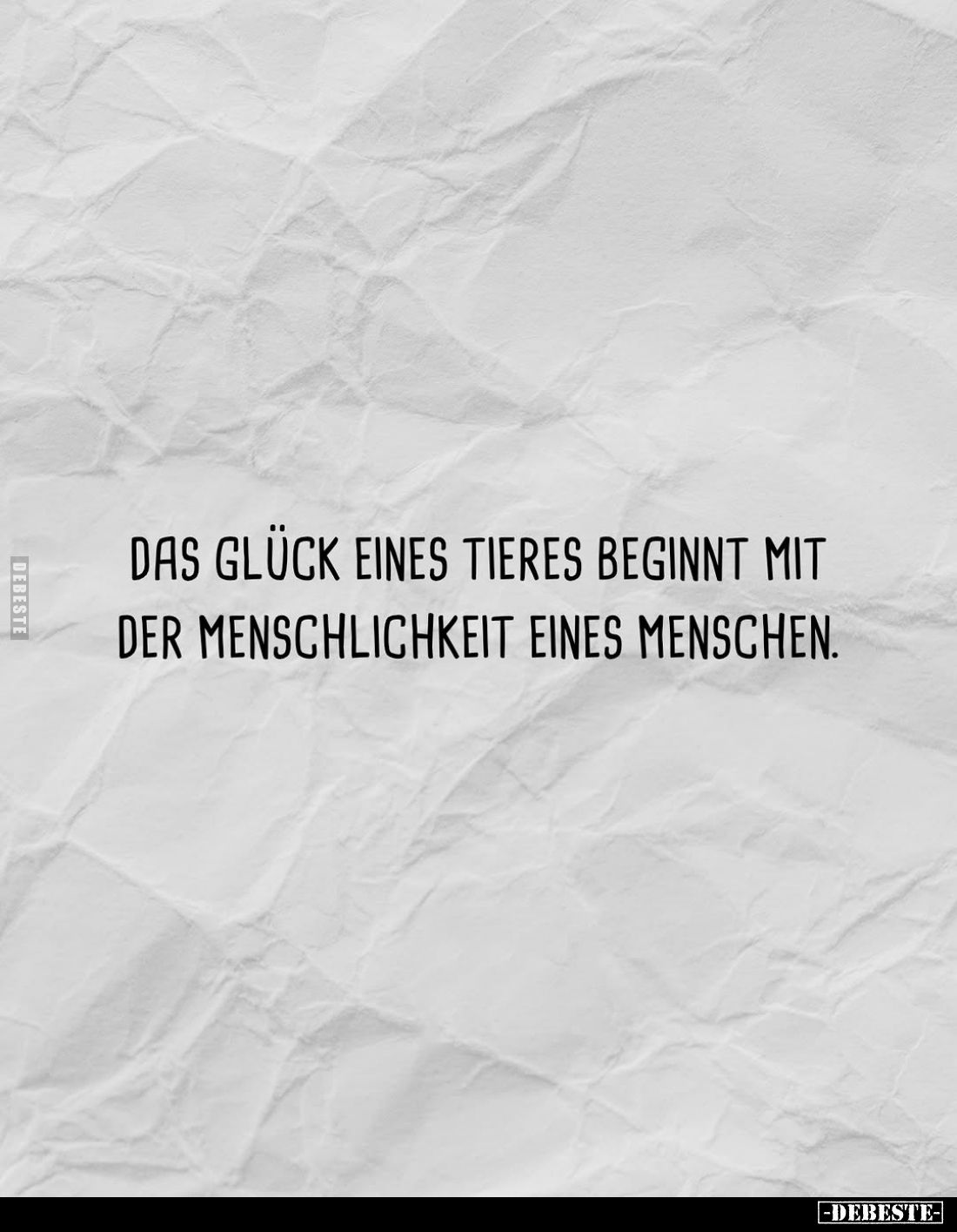 Das Glück eines Tieres beginnt... - Lustige Bilder | DEBESTE.de