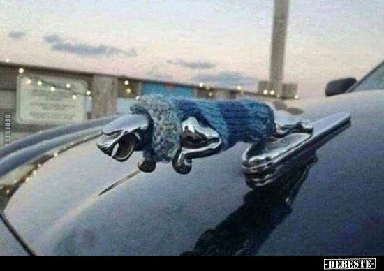  - Lustige Bilder | DEBESTE.de