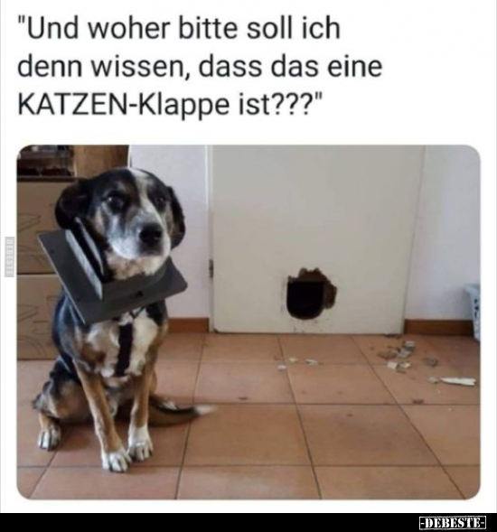 "Und woher bitte soll ich denn wissen, dass das eine.." - Lustige Bilder | DEBESTE.de