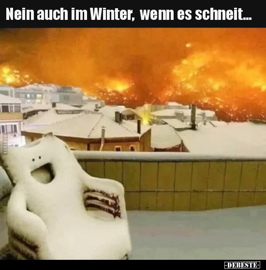 Nein auch im Winter, wenn es schneit... - Lustige Bilder | DEBESTE.de