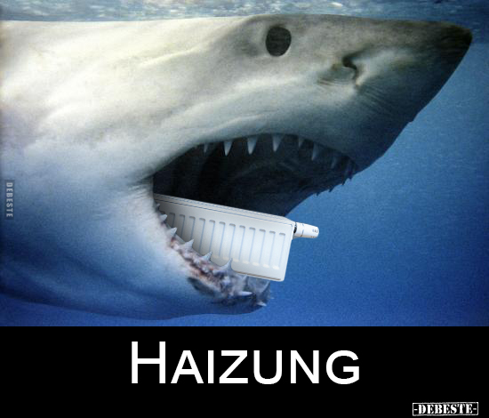 Haizung..