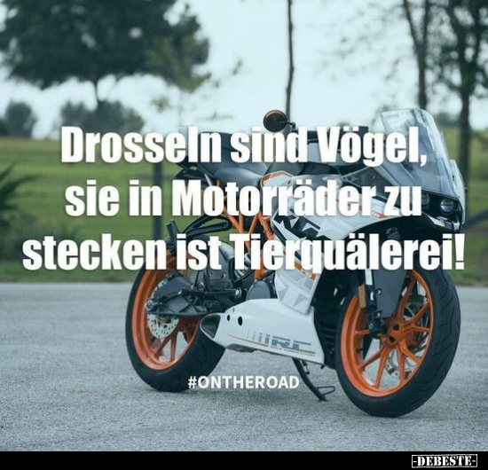 Drosseln sind Vögel, sie in Motorräder zu stecken ist.. - Lustige Bilder | DEBESTE.de