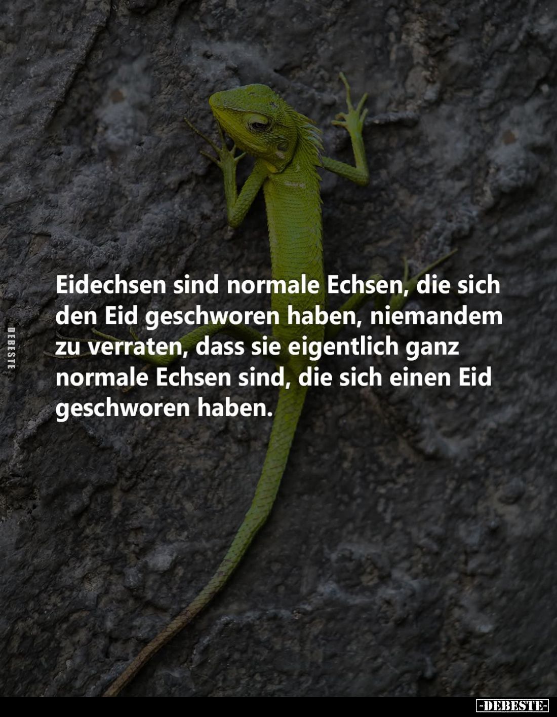 Eidechsen sind normale Echsen, die sich den Eid geschworen haben, niemandem zu verraten, dass sie eigentlich ganz normale Ech...