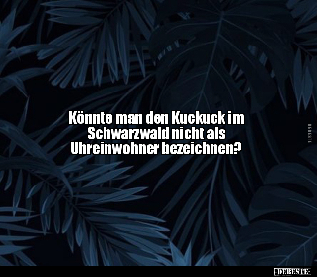 Könnte man den Kuckuck im Schwarzwald nicht als.. - Lustige Bilder | DEBESTE.de