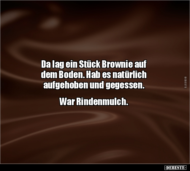 Da lag ein Stück Brownie auf dem Boden. Hab es natürlich.. - Lustige Bilder | DEBESTE.de