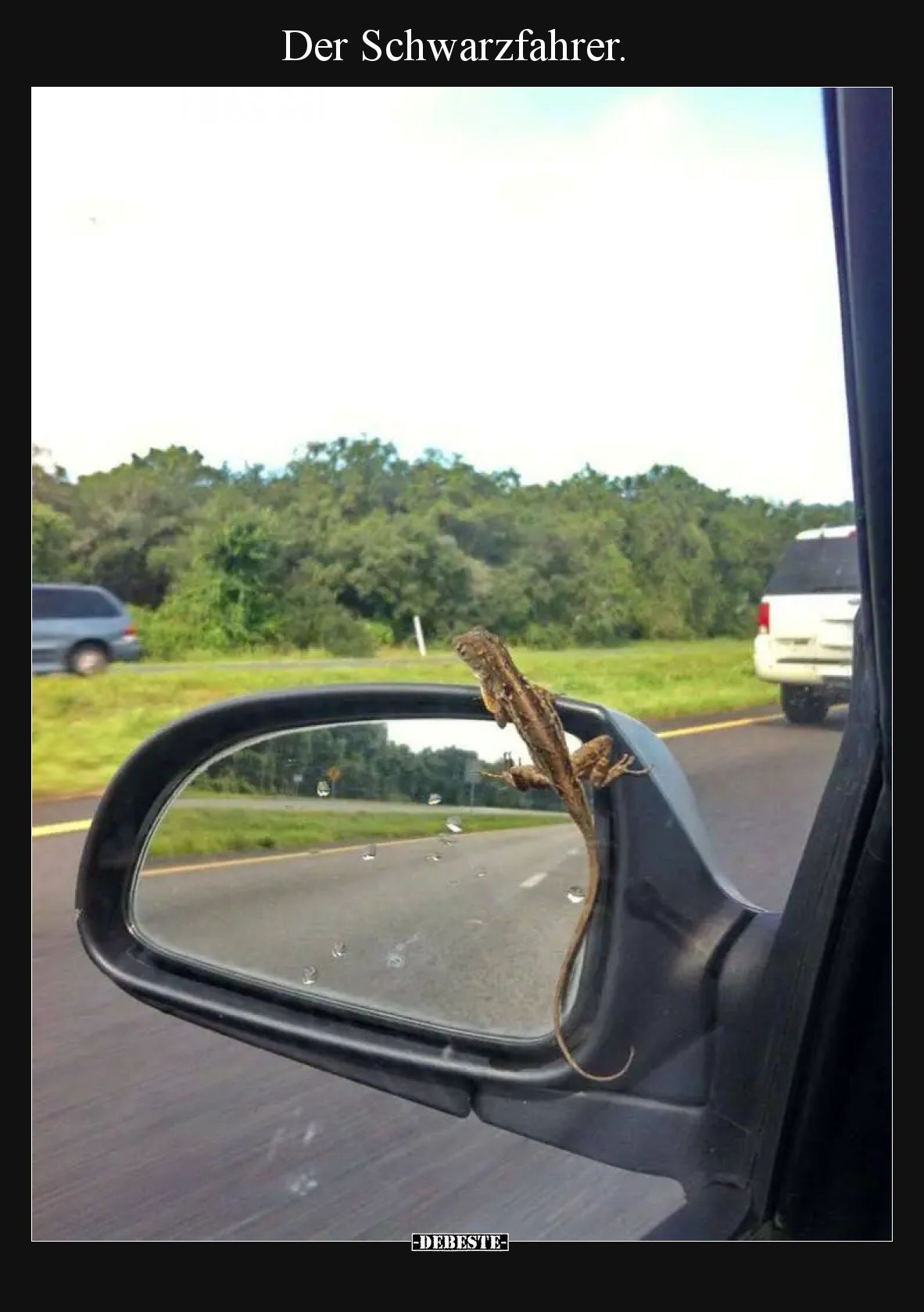Der Schwarzfahrer