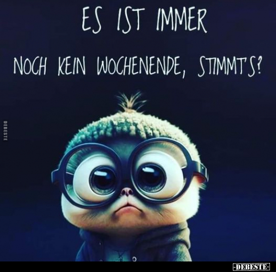 Es ist immer noch kein Wochenende, stimmt´s?.. - Lustige Bilder | DEBESTE.de