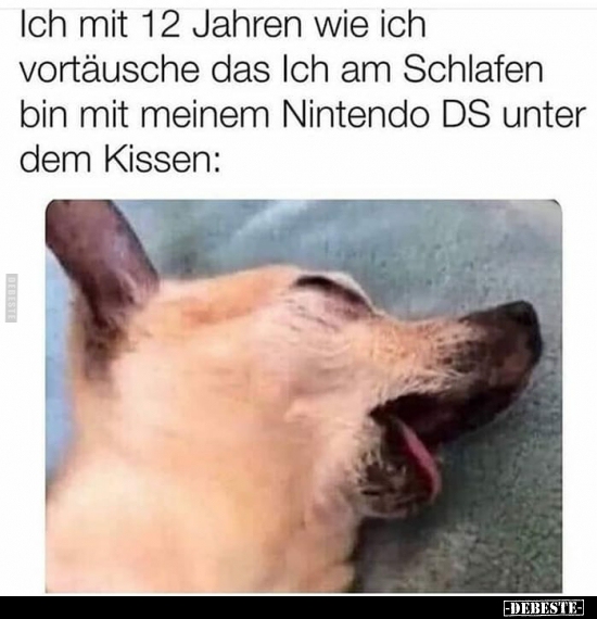 Ich mit 12 Jahren wie ich vortäusche das Ich am..