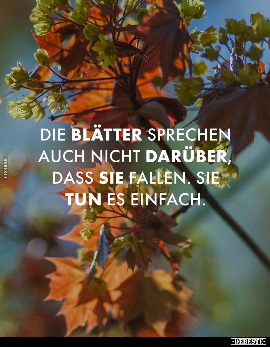 Die Blätter sprechen auch nicht darüber, dass sie fallen. Sie tun es einfach.