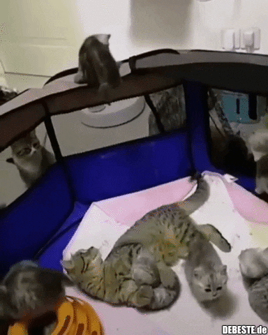 Halt. Hier geblieben...