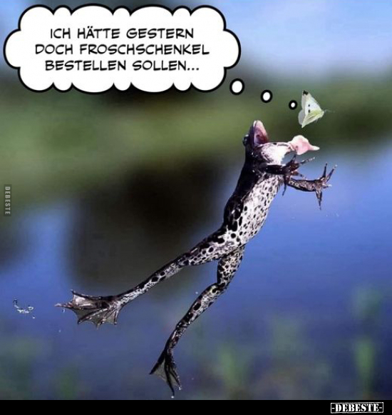 Ich hätte gestern doch Froschschenkel bestellen.. - Lustige Bilder | DEBESTE.de