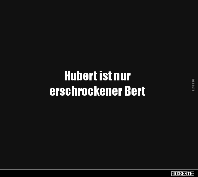 Hubert ist nur erschrockener Bert.. - Lustige Bilder | DEBESTE.de