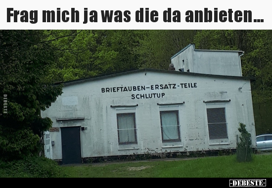 Frag mich ja was die da anbieten...