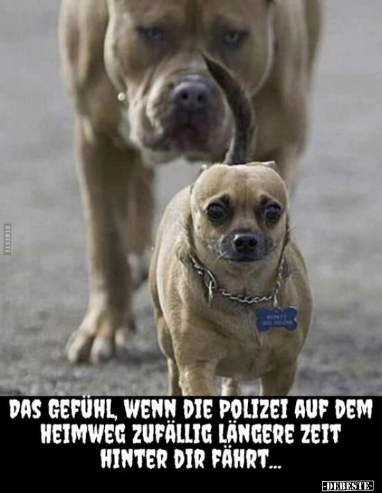 Das Gefühl, wenn die Polizei auf dem Heimweg zufällig.. - Lustige Bilder | DEBESTE.de