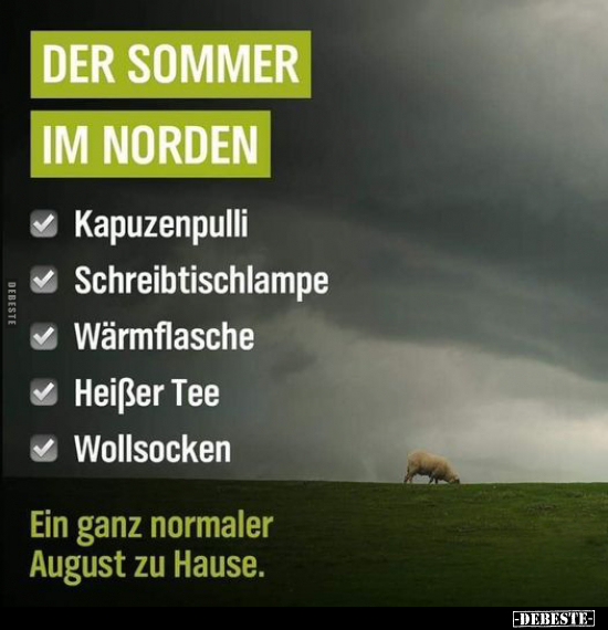 Der Sommer im Norden.. - Lustige Bilder | DEBESTE.de