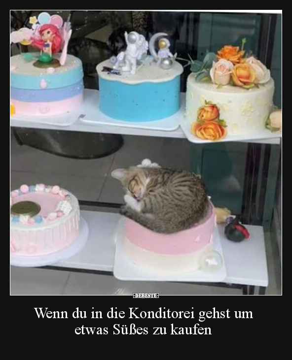 Wenn du in die Konditorei gehst um etwas Süßes zu kaufen.. - Lustige Bilder | DEBESTE.de