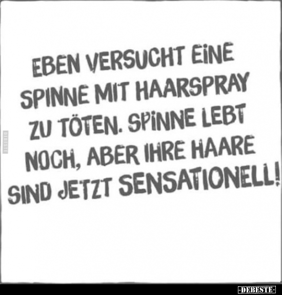 Eben versucht, eine Spinne mit Haarspray zu töten... - Lustige Bilder | DEBESTE.de
