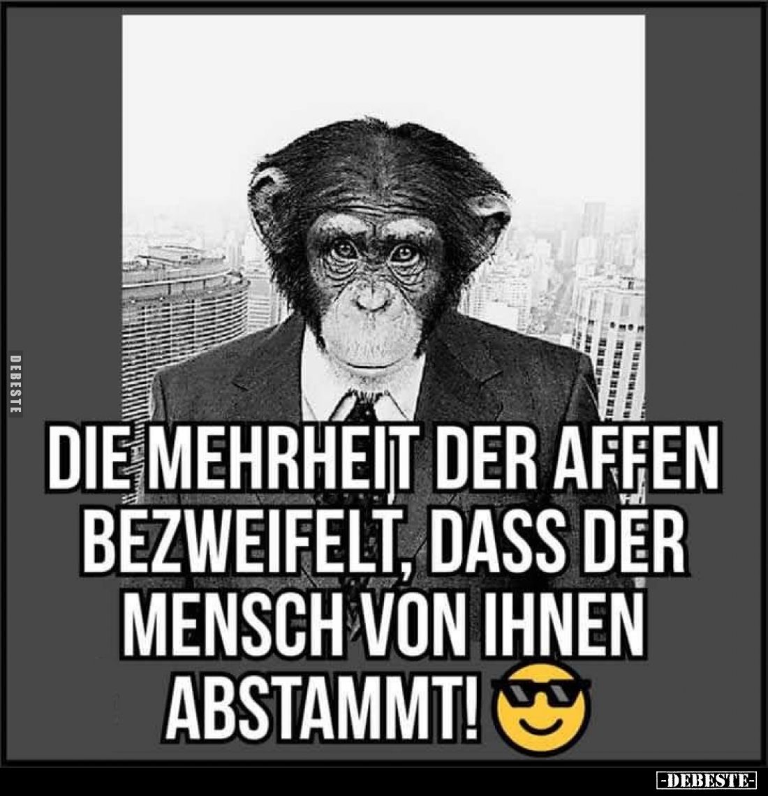 Die Mehrheit der Affen bezweifelt, dass der Mensch von.. - Lustige Bilder | DEBESTE.de
