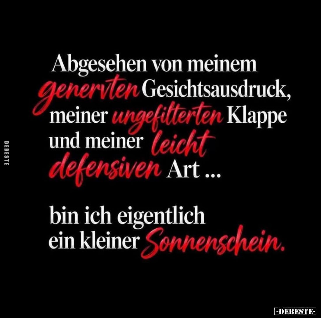 Abgesehen von meinem genervten Gesichtsausdruck, meiner ungefilterten Klappe und meiner leicht defensiven Art...
bin ich eig...