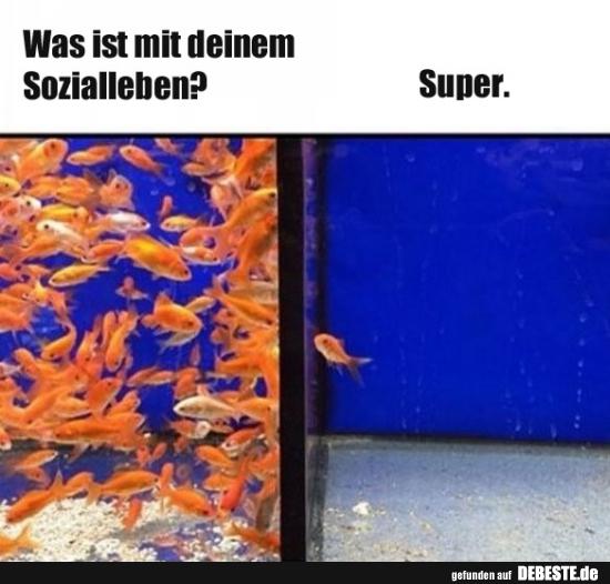Was ist mit deinem Sozialleben?