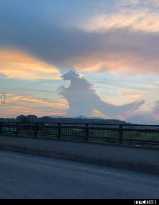  - Lustige Bilder | DEBESTE.de