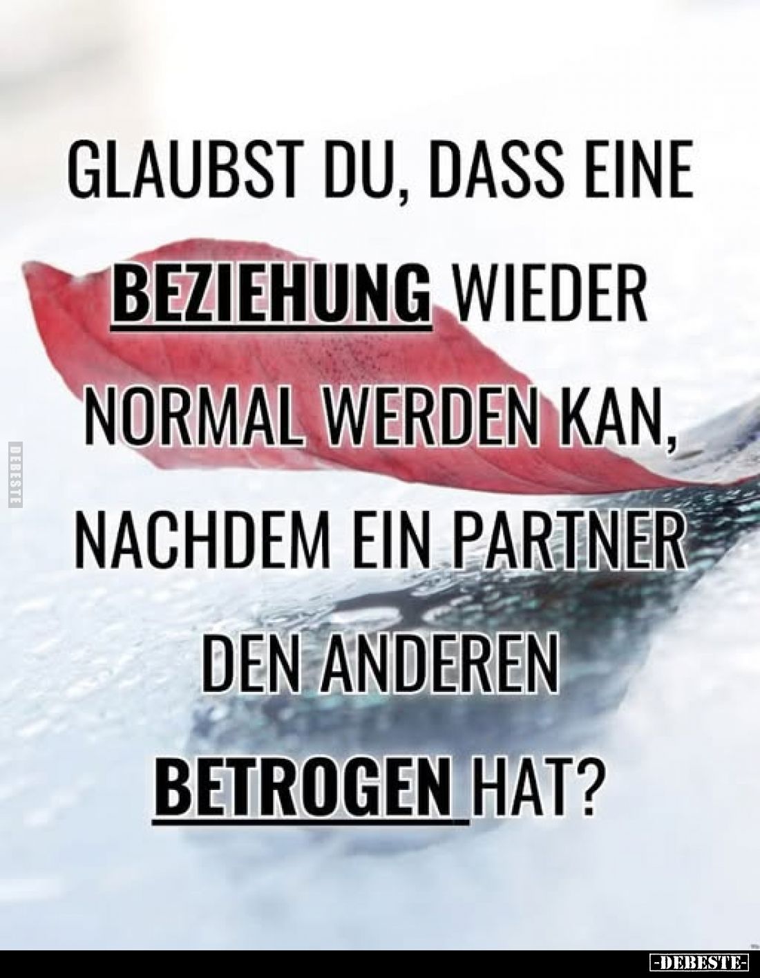 Glaubst du, dass eine Beziehung wieder normal werden kan, nachdem ein Partner den anderen betrogen hat?