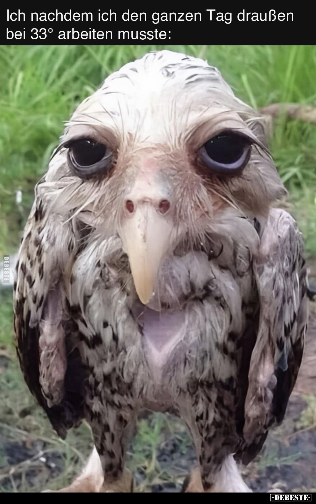 Ich nachdem ich den ganzen Tag draußen bei 33° arbeiten musste