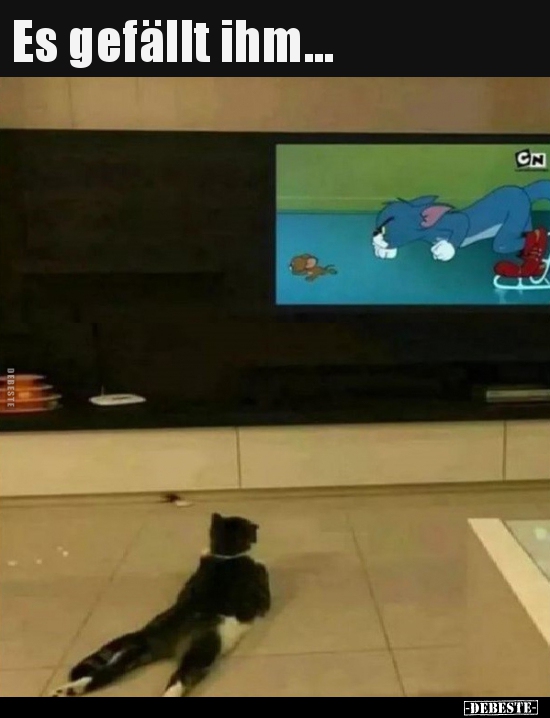 Es gefällt ihm...