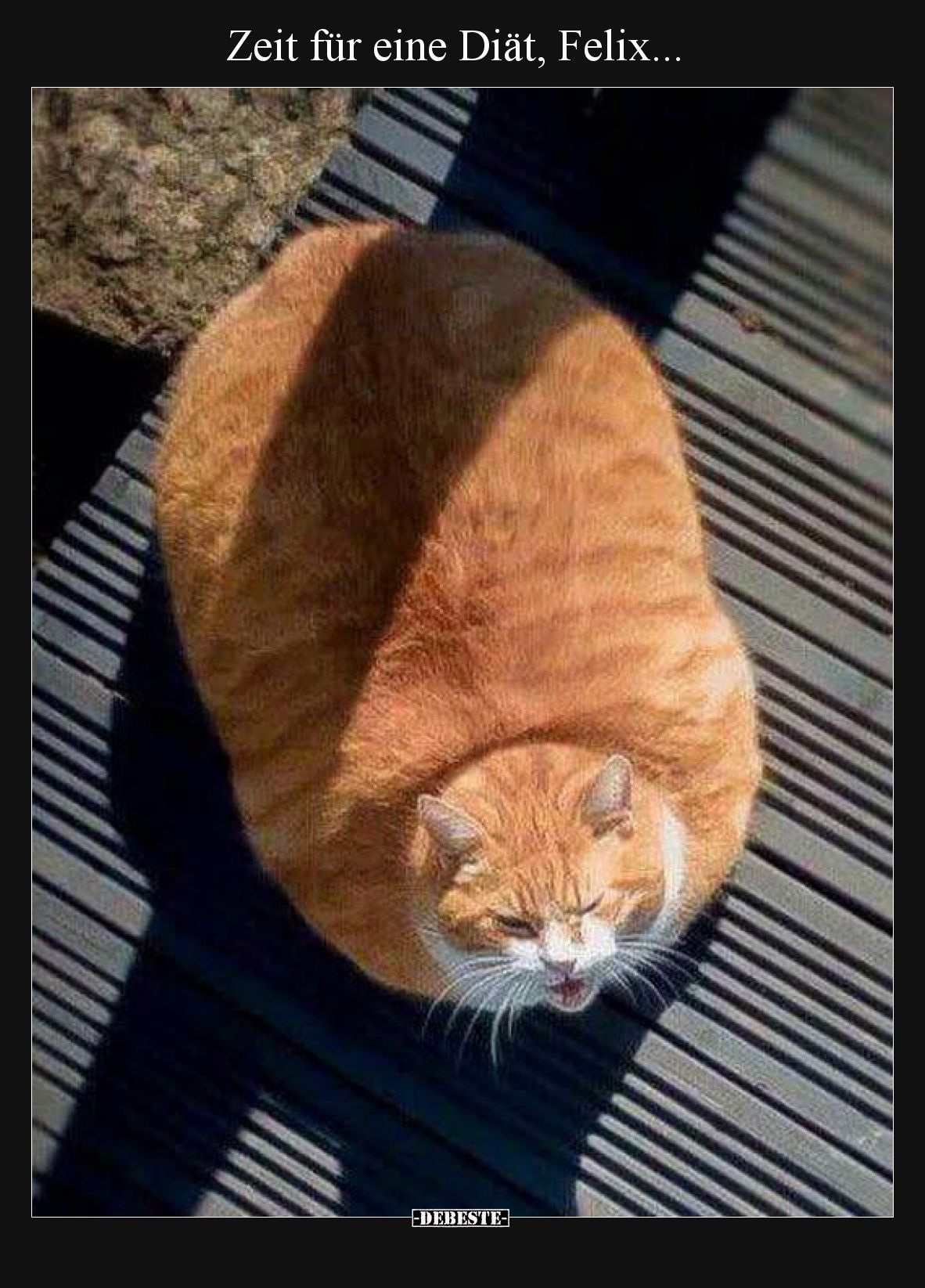 Zeit für eine Diät, Felix