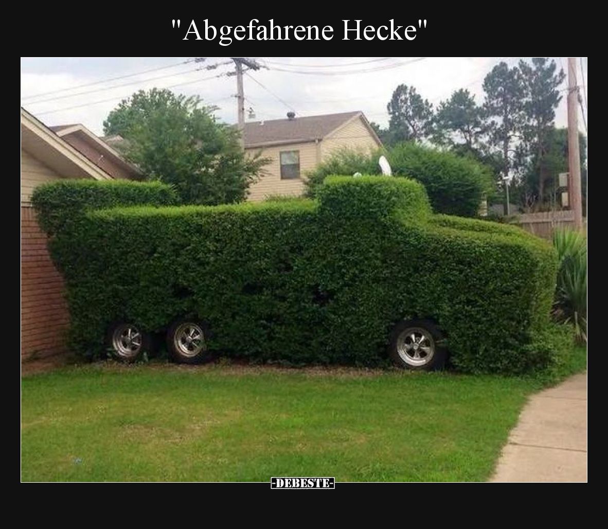"Abgefahrene Hecke"