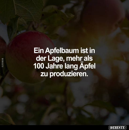 Ein Apfelbaum ist in der Lage.. - Lustige Bilder | DEBESTE.de